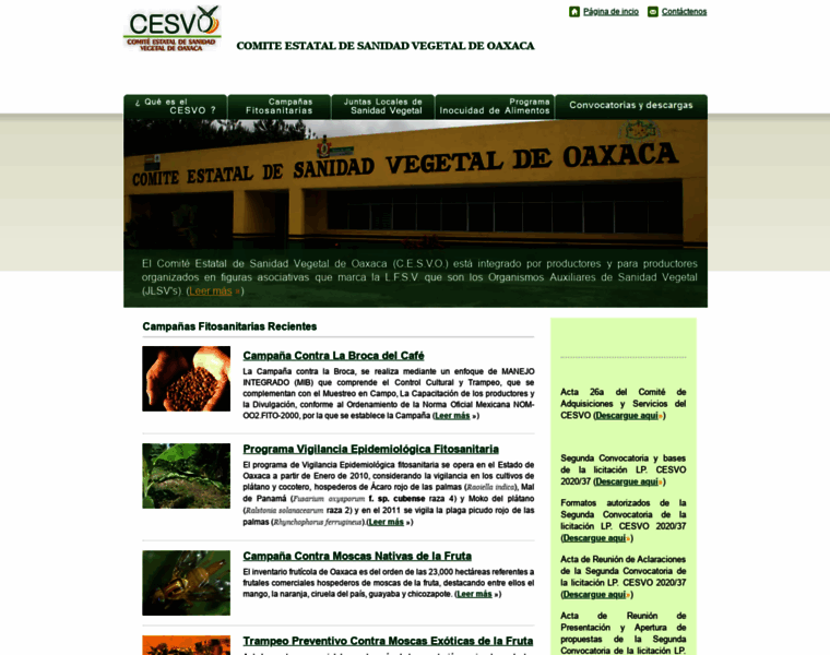 Cesvo.org.mx thumbnail