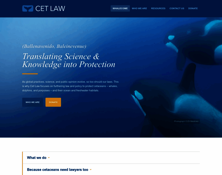 Cetaceanlaw.org thumbnail