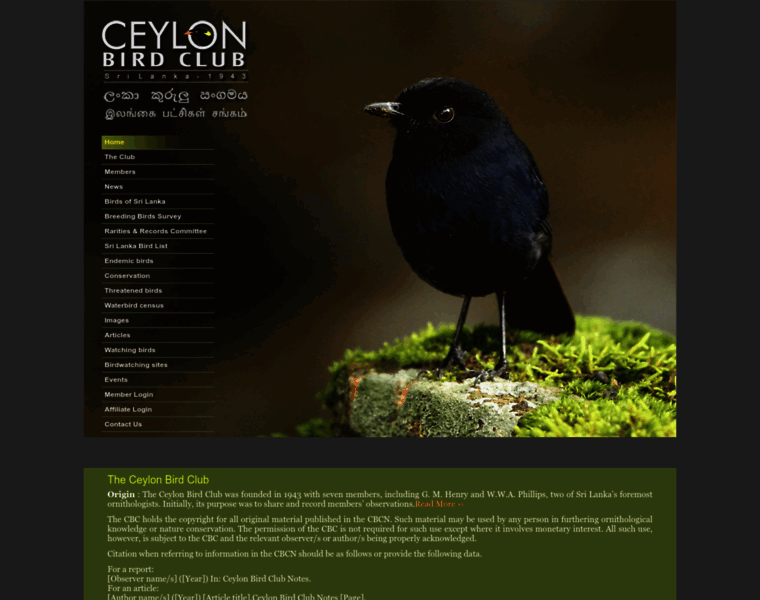 Ceylonbirdclub.org thumbnail