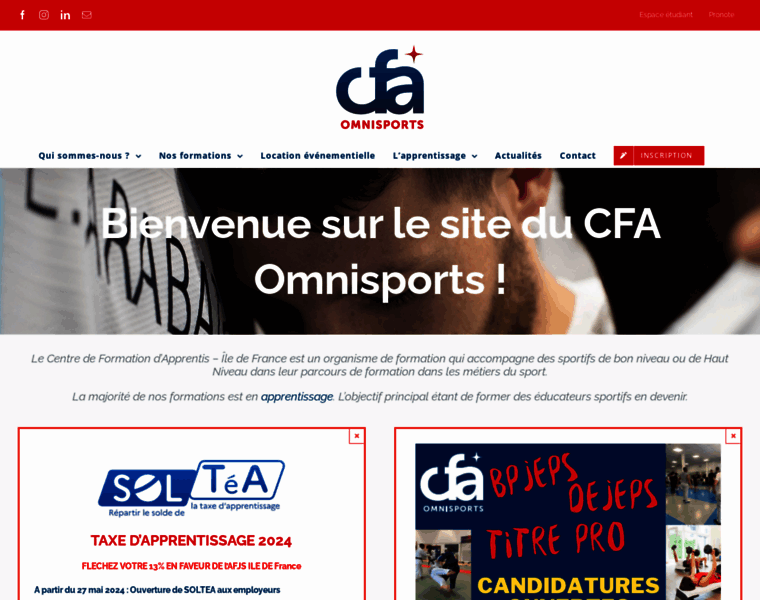 Cfaomnisports.fr thumbnail