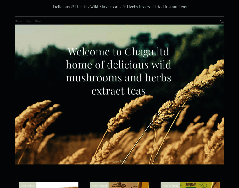 Chaga.es thumbnail Chaga.es thumbnail