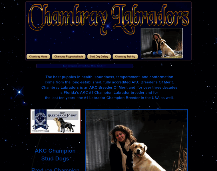 Chambraylabs.com thumbnail