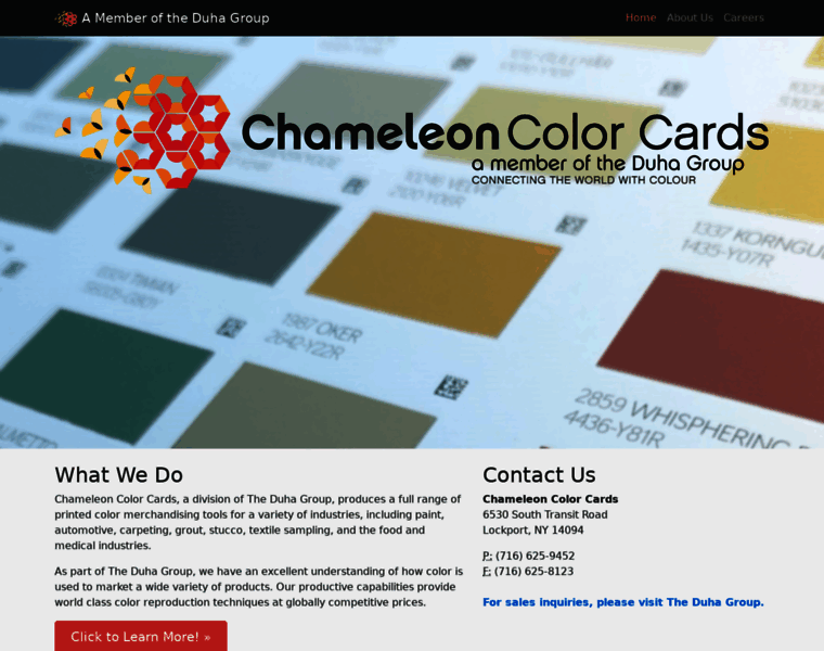 Chameleoncolorcards.com thumbnail