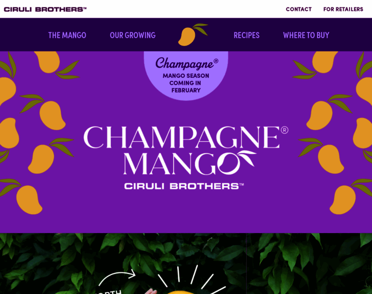 Champagnemango.com thumbnail
