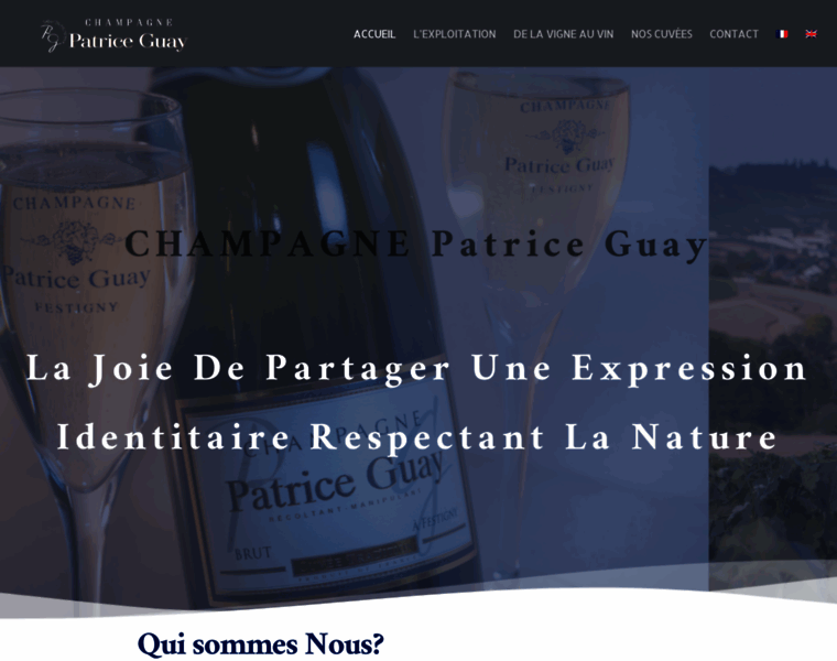 Champagnepatriceguay.com thumbnail