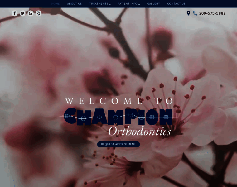 Championsmiles.com thumbnail