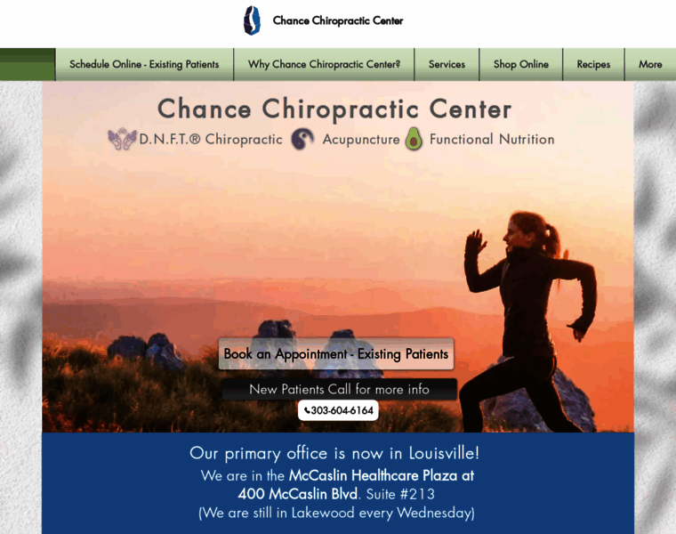 Chancechiropracticcenter.com thumbnail