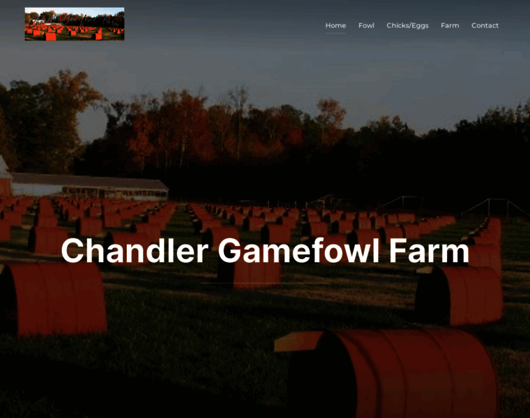 Chandlergamefowlfarm.com thumbnail