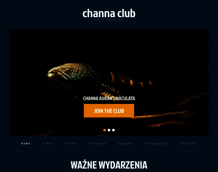 Channa.club thumbnail