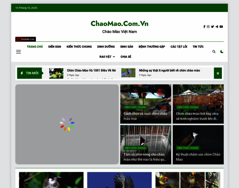 Chaomao.com.vn thumbnail