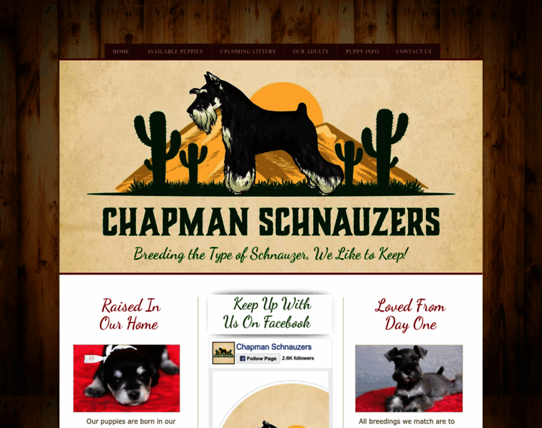 Chapmanschnauzers.com thumbnail
