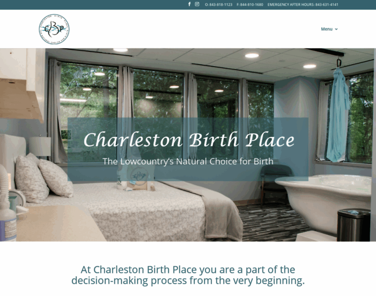 Charlestonbirthplace.com thumbnail