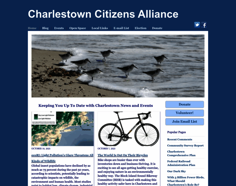Charlestowncitizens.org thumbnail