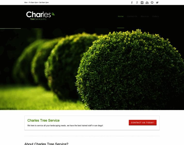 Charlestreeservice.com thumbnail