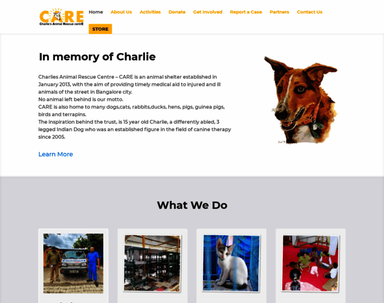 Charlies-care.com thumbnail
