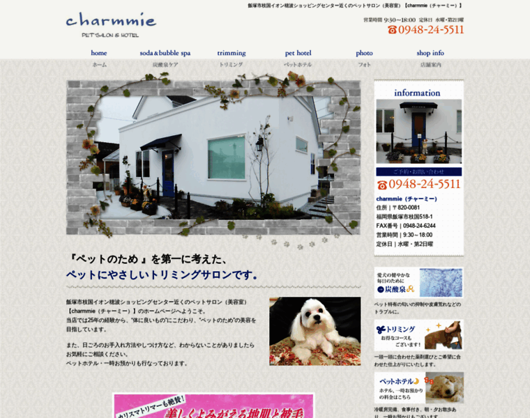 Charmmie.jp thumbnail