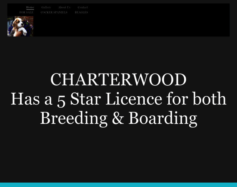 Charterwoodbeagles.co.uk thumbnail