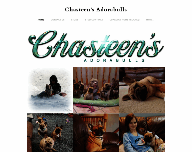 Chasteensadorabulls.com thumbnail