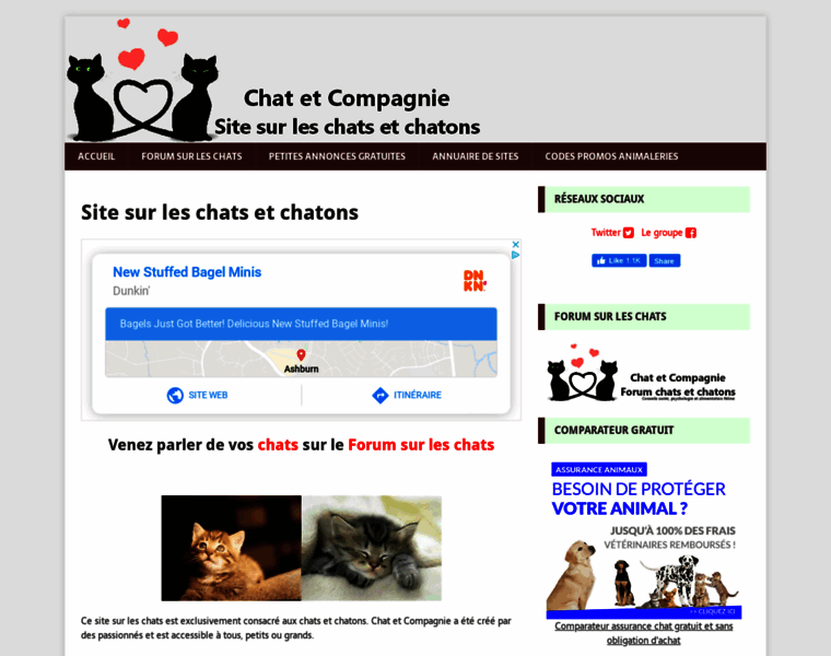 Chat-et-cie.fr thumbnail
