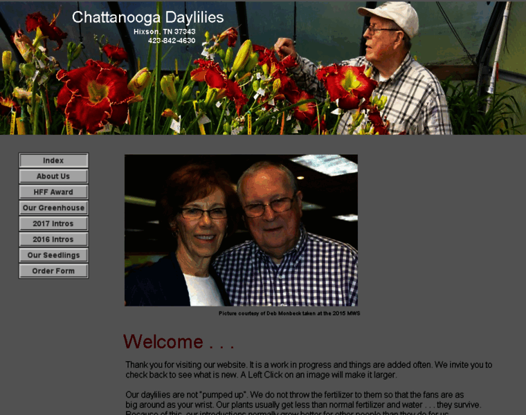 Chattanoogadaylilies.com thumbnail