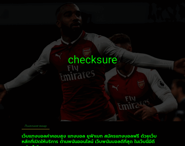 Checksure.biz thumbnail
