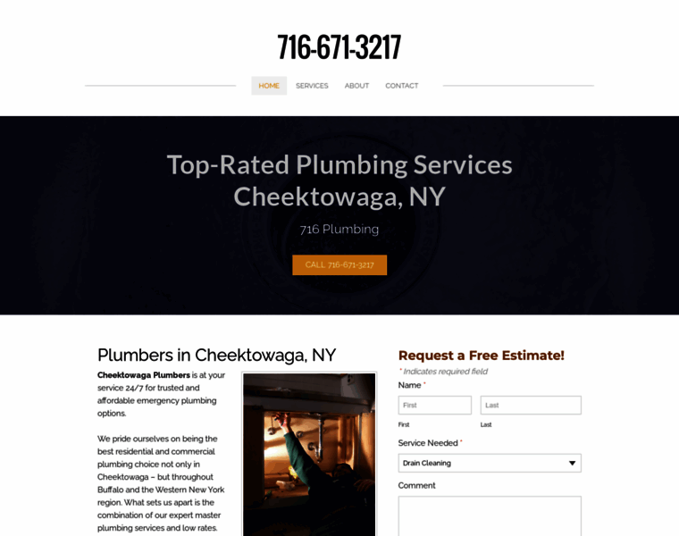 Cheektowaga-plumbers.com thumbnail