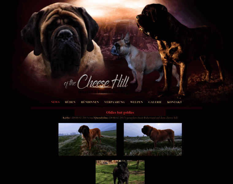 Cheese-hill.de thumbnail