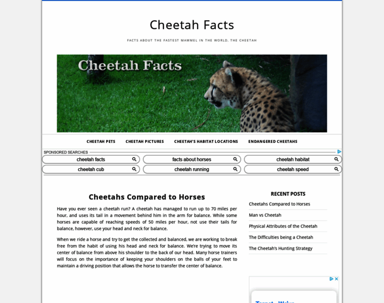 Cheetah-facts.com thumbnail
