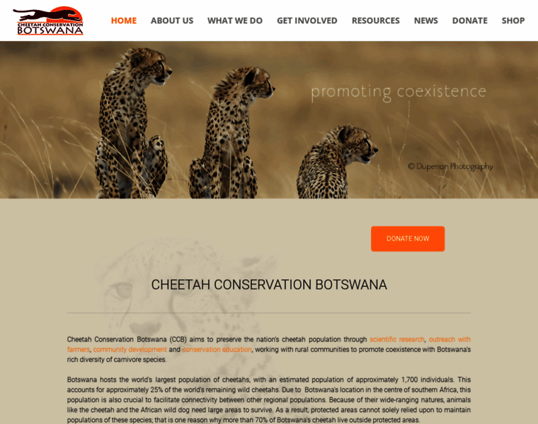 Cheetahbotswana.com thumbnail