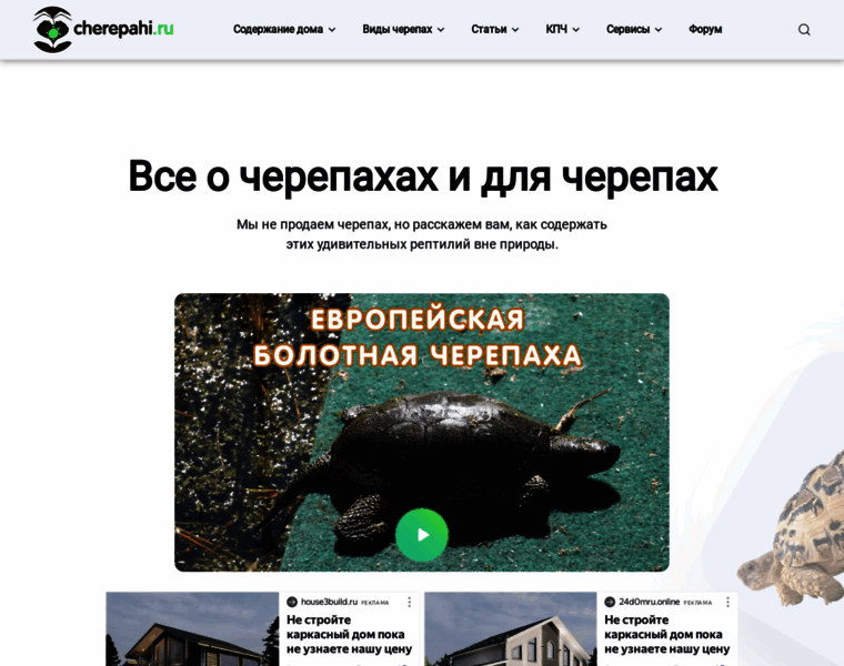 Cherepahi.ru thumbnail