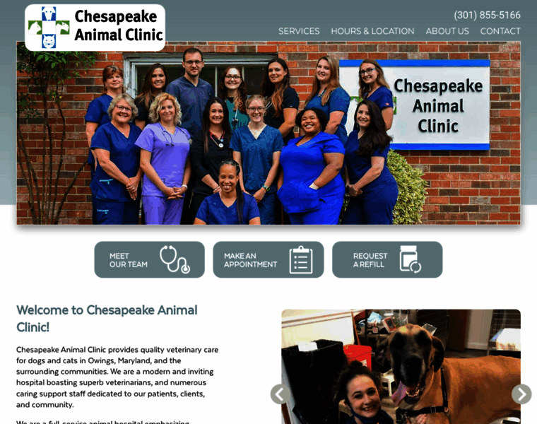 Chesapeakeanimalclinic.com thumbnail