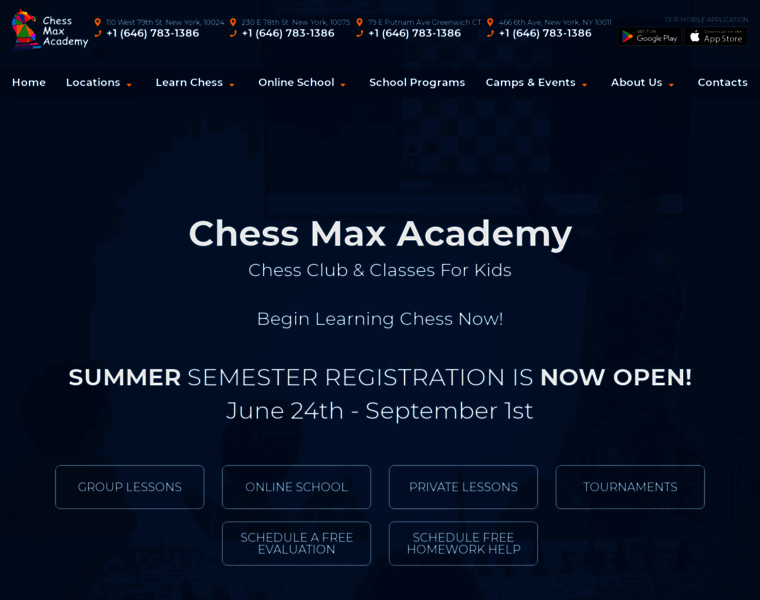 Chessmaxacademy.com thumbnail