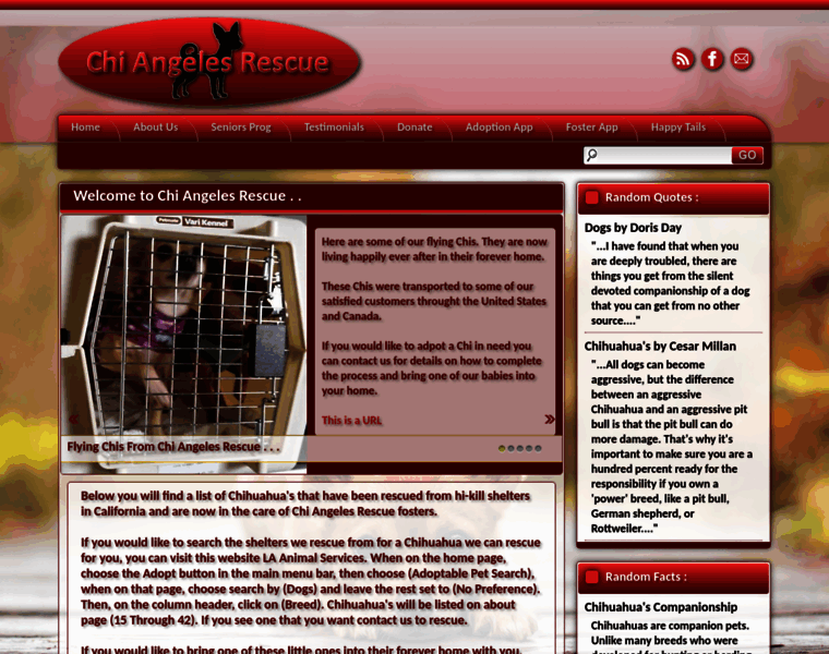 Chiangelesrescue.org thumbnail