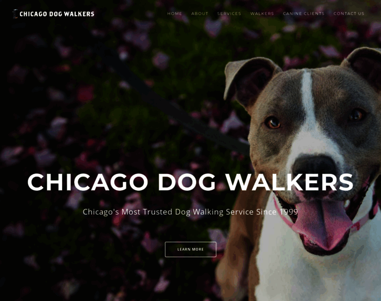 Chicago-dogwalkers.com thumbnail