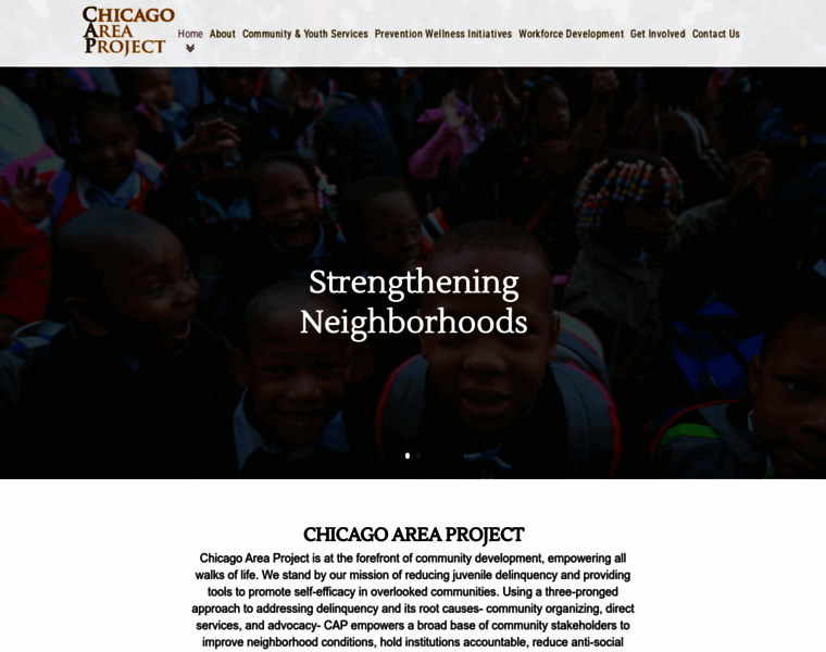 Chicagoareaproject.org thumbnail