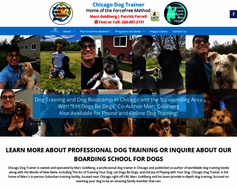 Chicagodogtrainer.com thumbnail