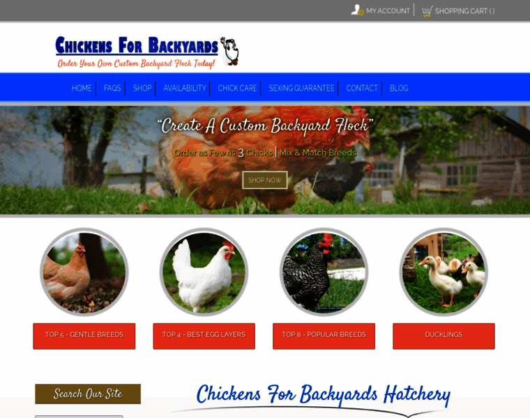 Chickensforbackyards.com thumbnail