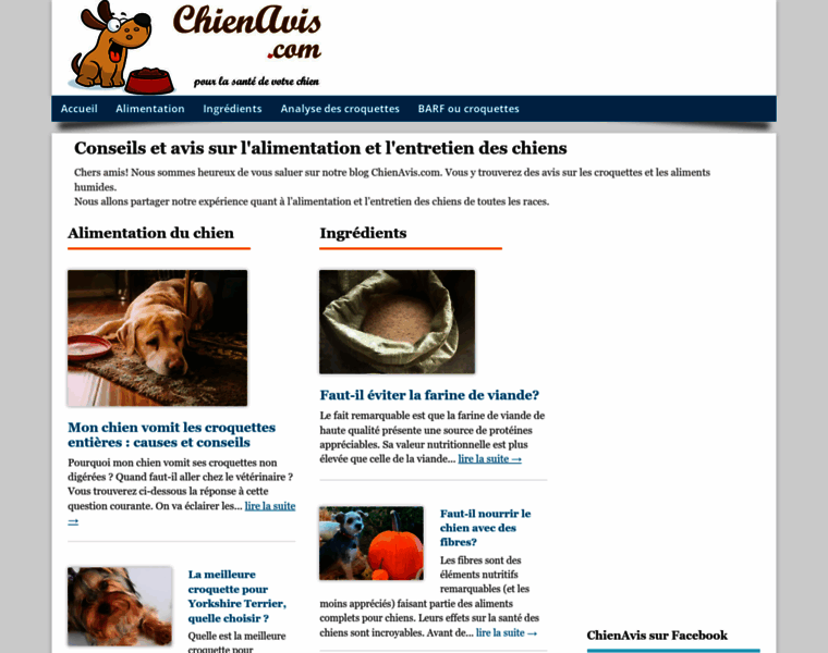 Chienavis.com thumbnail