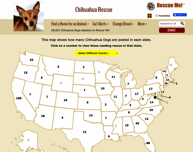 Chihuahua.rescueme.org thumbnail