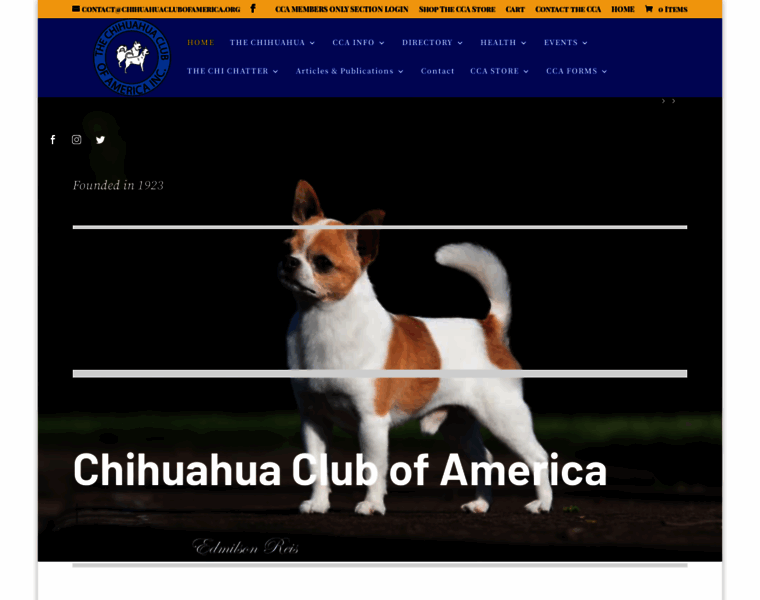 Chihuahuaclubofamerica.org thumbnail