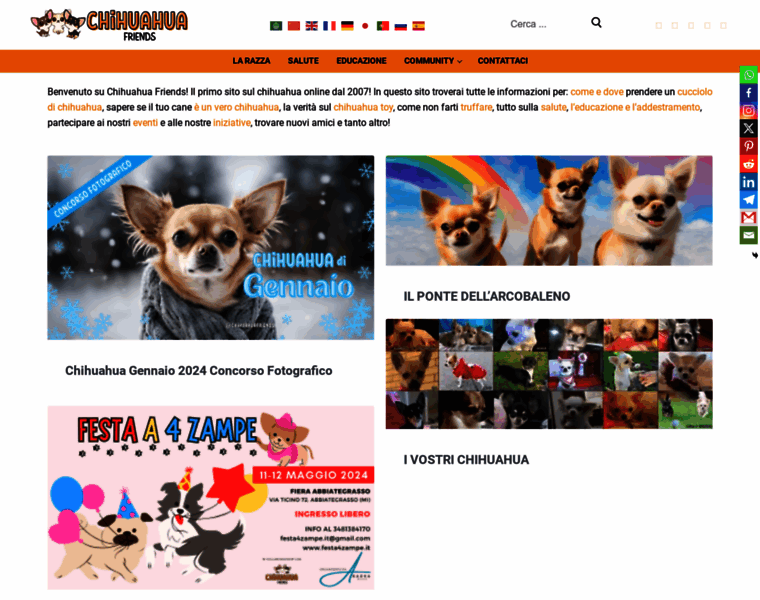 Chihuahuafriends.net thumbnail