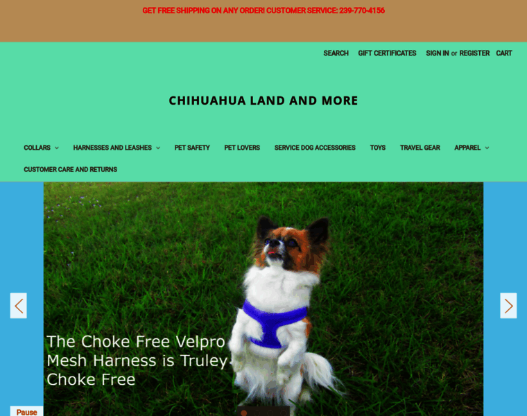 Chihuahualandandmore.com thumbnail