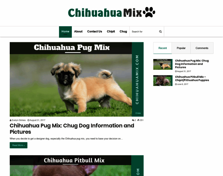 Chihuahuamix.com thumbnail