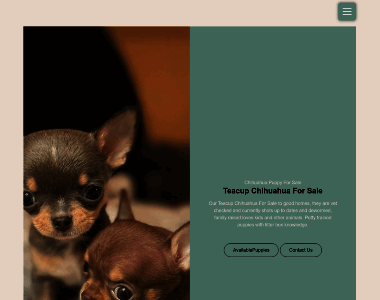 Chihuahuapuppiesonsale.com thumbnail Chihuahuapuppiesonsale.com thumbnail
