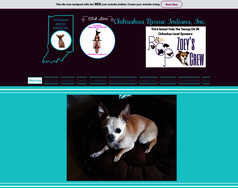 Chihuahuarescuein.org thumbnail