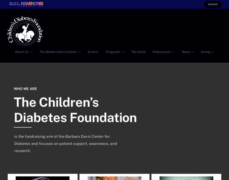 Childrensdiabetesfoundation.org thumbnail