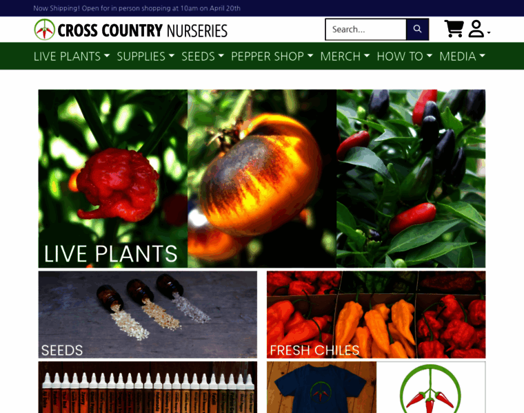Chileplants.com thumbnail
