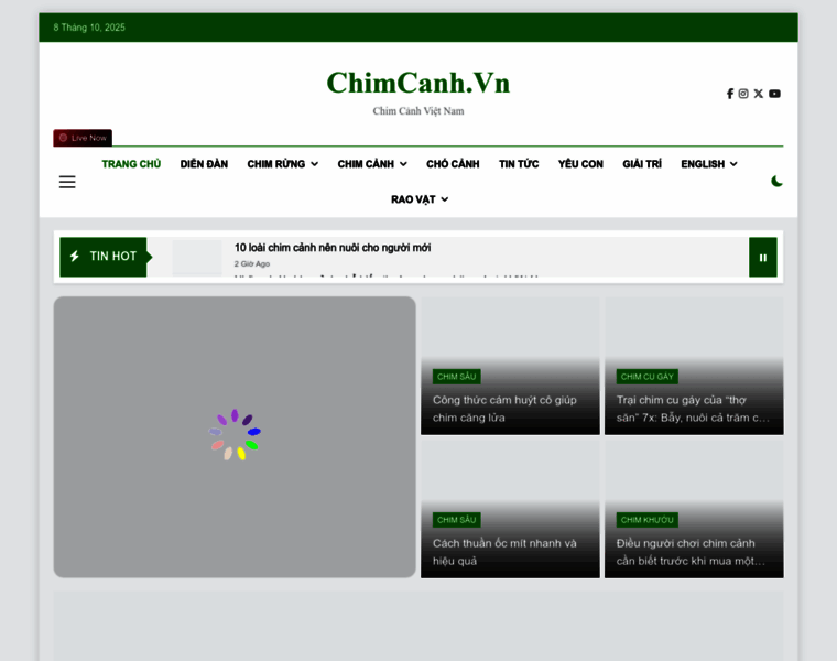 Chimcanh.vn thumbnail
