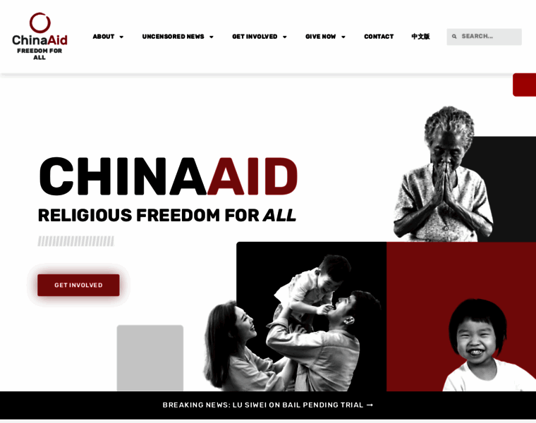 Chinaaid.org thumbnail