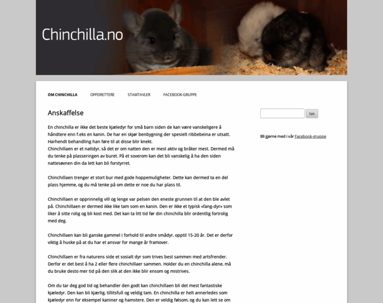 Chinchilla.no thumbnail